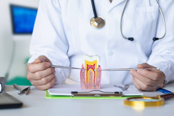 Best Emergency Root Canal Therapy in Piney Mountain, VA